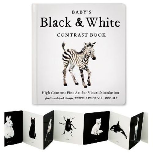Baby's Black and White Contrast Book - (Tabitha Paige Children's Book) by Tabitha Paige (Board Book)