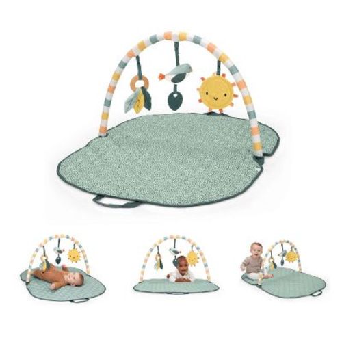 Bright Starts Sunny Nest Baby Activity Gym