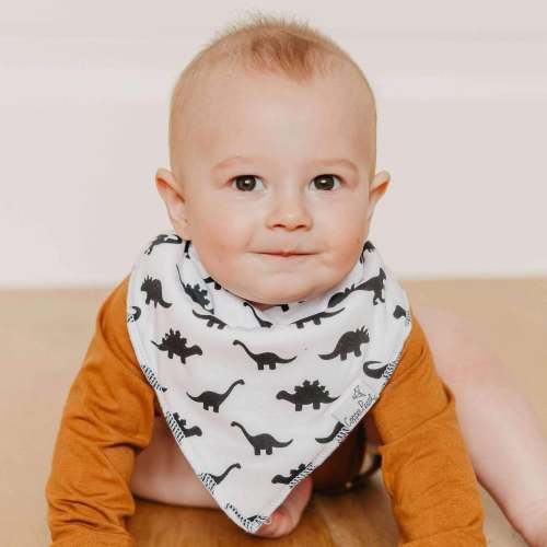 Baby Bandana Bibs - Wild