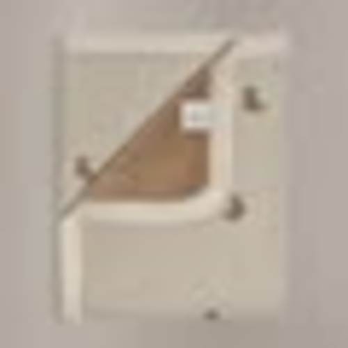 Bear - Cuddle Plush Infant Blanket