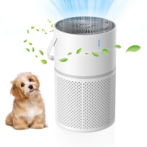 1250 sq. ft. HEPA Personal Air Purifier in White, with 3-layer Filter, 8H Timer, 3-level Speed, Low Noise, Child Lock