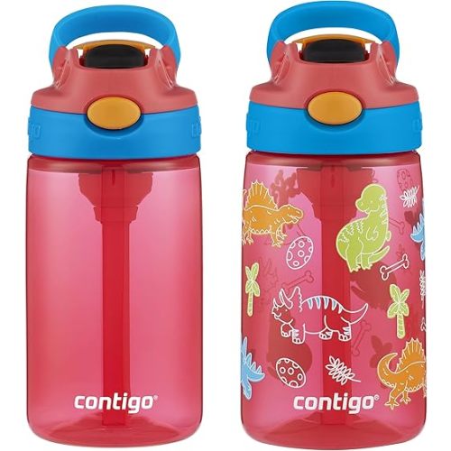 Contigo 14oz Water Bottle in Watermelon & Dinos