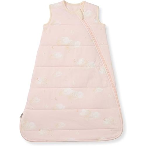 Burt's Bees Baby Unisex Newborn Essentials 100% Organic Cotton Beekeeper Wearable Blanket