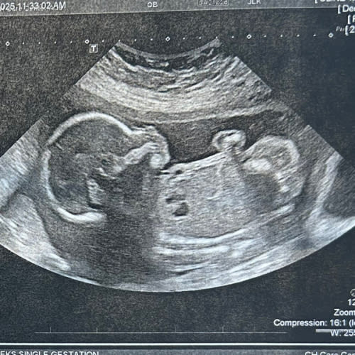 Amazon.com- Condensed a list of essentials