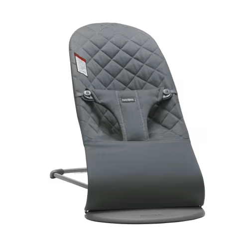 Fund for BabyBjorn Bouncer Bliss ($270)