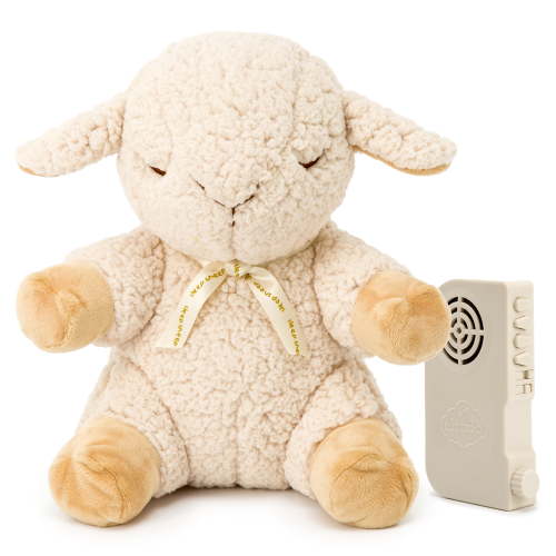 Cloud B Sleep Sheep Plush Soother with Calming Sounds for Unisex