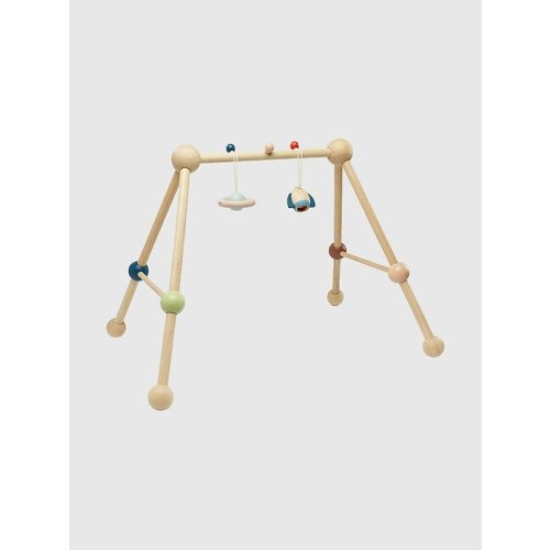 Play Gym