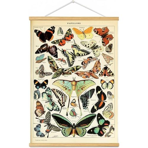 Vintage Flowers Poster Hanger Frame, Plant Floral Reference Chart Wall Decor Cottagecore Room Decor Aesthetic, Retro Style Wall Decor Art Painting Prints. (butterfly N, 18L x 12W)