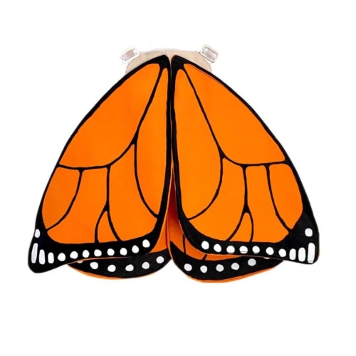 Monarch Butterfly Wings