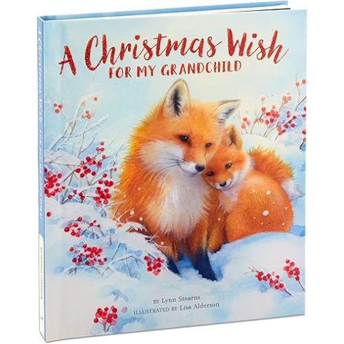 Hallmark Recordable Book for Children (A Christmas Wish for My Grandchild)
