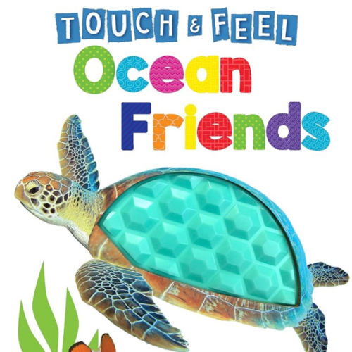 Ocean Friends - Touch and Feel Board Book - Sensory Board Book