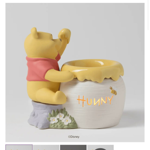 Just A Smackerel of Hunny – Scentsy Warmer