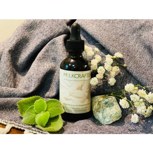 4 oz. Torbangun Extract for Breastfeeding Moms! Alcohol-free, wildcrafted, effective