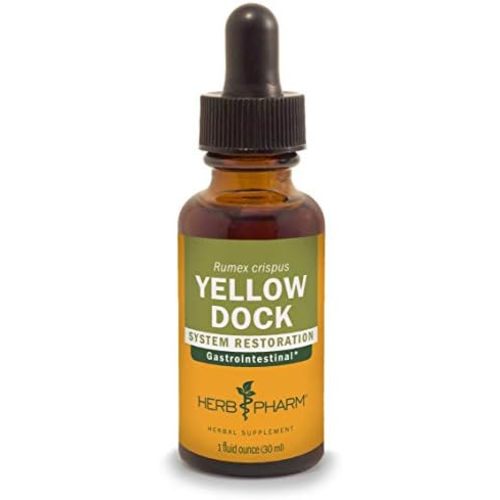 Herb Pharm Yellow Dock Liquid Herbal Extract: Digestive System Support, Traditional Gastrointestinal Support | Vegan, Non-GMO, Gluten-Free, Up to 3 Week Supply, 1 oz*