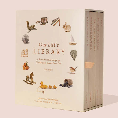 Our Little Library Set