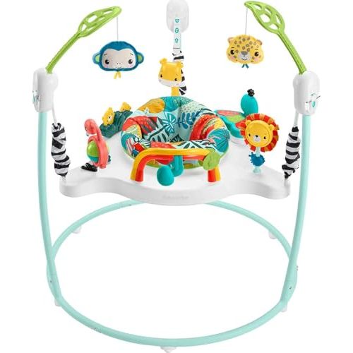 Fisher Price Jungle Jump Toy & Chair