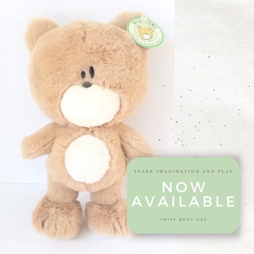 Brudders the Bear — BRUDDERS® BOOKS