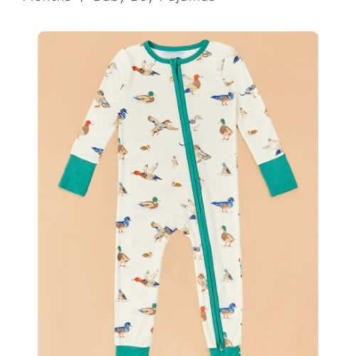 Ducks on the Loose Footless Romper