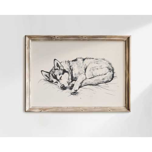 Sleeping Husky Vintage Poster, Country Antique Drawing, PRINTED AND SHIPPED