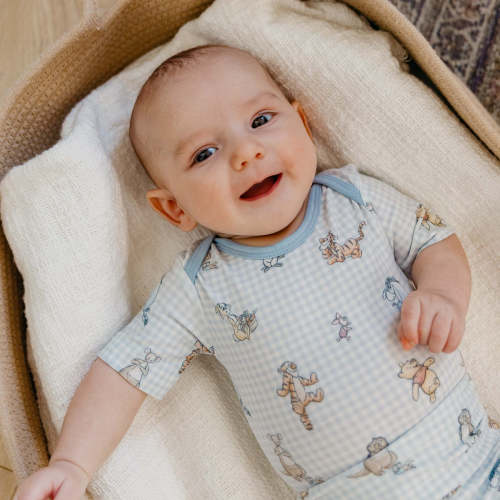 Short Sleeve Bodysuit - Winnie the Pooh and Friends