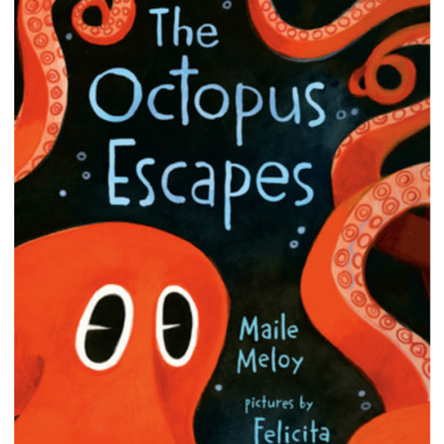The Octopus Escapes book by Maile Meloy