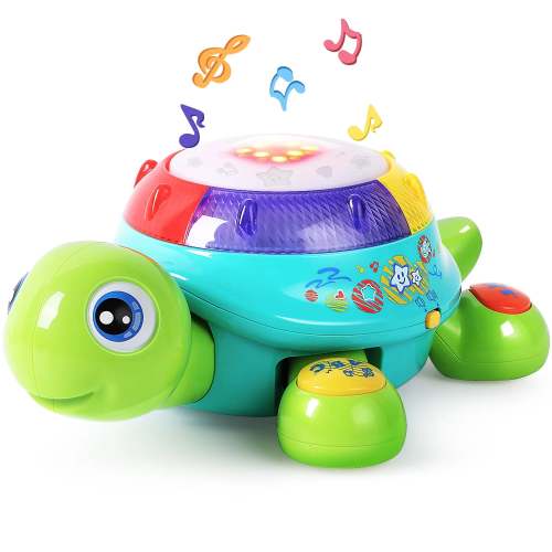 Musical Turtle