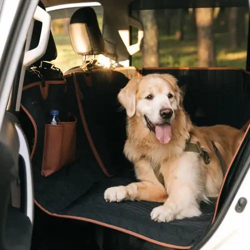 Hard Bottom Dog Car Hammock  |  “Travel Buddy Mk. II” by Owleys