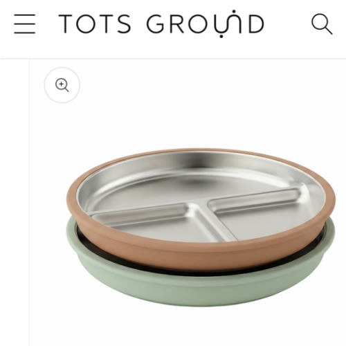 Stainless Steel Plate Set of 2 (Mocha Mousse & Sage Green)