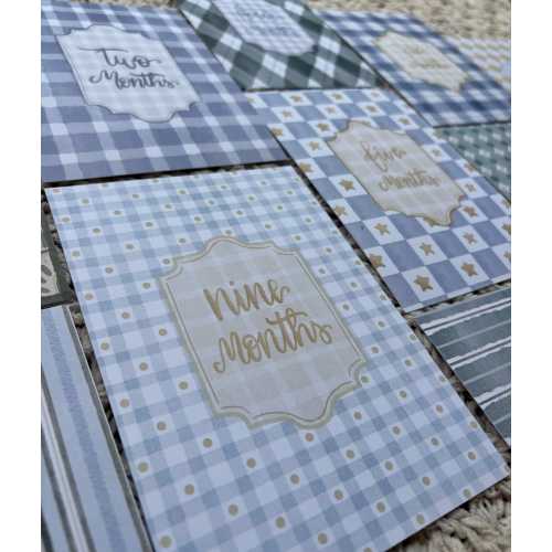 Baby Boy Milestone Cards – 12 Month Vintage Pattern Monthly Photo Prop Set – Classic Boy Pattern Nursery Decor