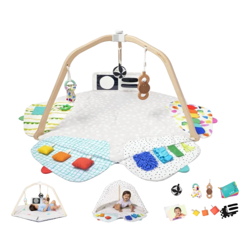 Lovevery The Play Gym, Multi-Color