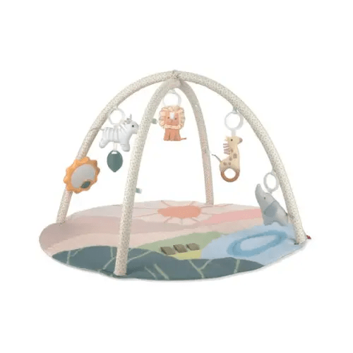 Savannah Sunset Baby Play Gym - Skip Hop | Carter's