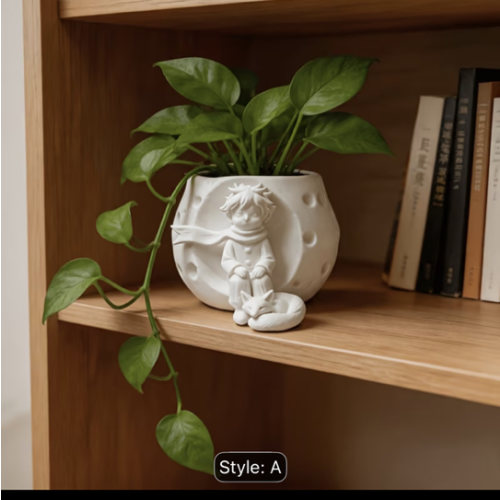 little prince pot suitable planting succulents - Temu