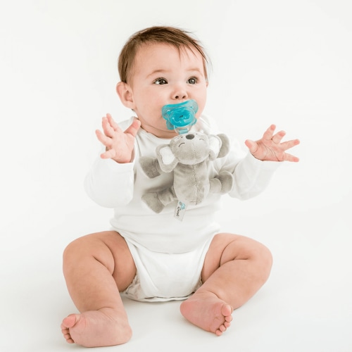 Queebi PaciBuddy Koala Pacifier Holder - Plush Toy Includes Detachable Pacifier - Adapts to Name Brand Pacifiers - Baby Gift Suitable for All Ages - Infant Binky, Soother, Paci, Plush Baby Toy