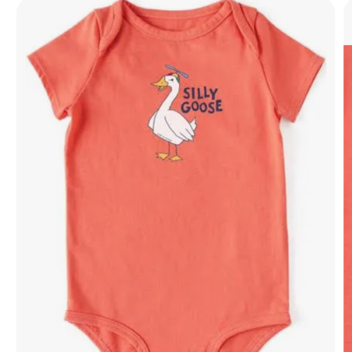 silly goose newborn onesie - Google Shopping