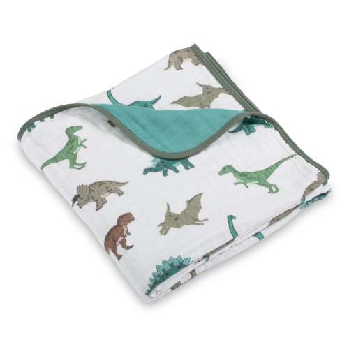 Have A T-rexcellent Day Muslin Baby Blanket