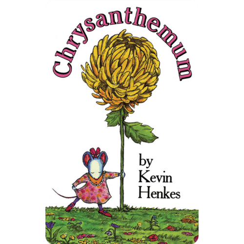 Chrysanthemum