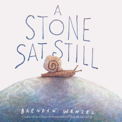 A Stone Sat Still: (Environmental and Nature Picture Book for Kids, Perspective Book for Preschool and Kindergarten, Award Winning Illustrator) (Brendan Wenzel)