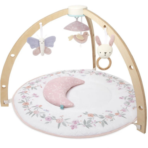 Baby Gym | Premium Baby Activity Gym | aden + anais