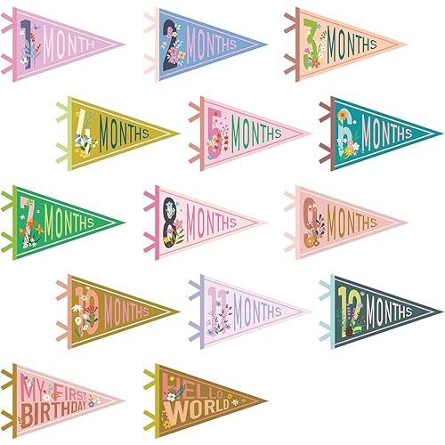 VitalCozy 14 Pcs Baby Milestone Pennant Signs Monthly Milestone Banner Flags Pennant Triangle Banner Age Flag Signs for Boy Girl Newborn Birthday Party Decor(Flower)