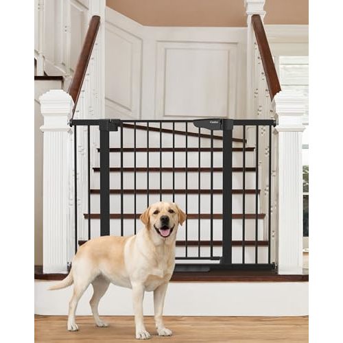 Cumbor 29.7-46" Baby Gate for Stairs, Auto Close & Dual Lock Dog Gate for the House, Mom's Choice Awards Winner-Pressure Mounted Pet Gates for Doorways & Hallway, Walk-Through Child Gate Indoor, Black