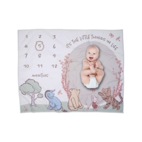 Baby Disney Pooh Bear and Pals Photo Opp Milestone Fleece Blanket