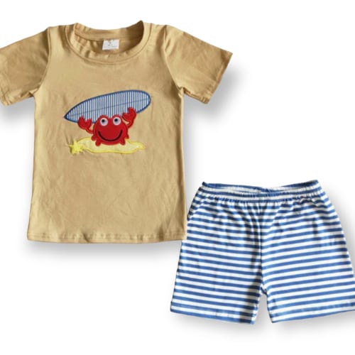 Boys embroidered short set