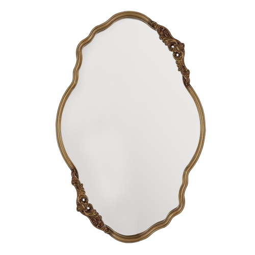 My Texas House Irregular Gold Framed Mirror 25x38