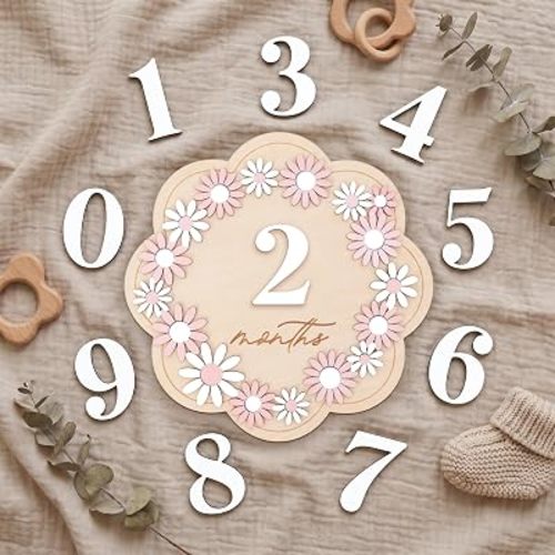 Daisy 3D Baby Monthly Milestone, Wooden Baby Milestone Signs, Monthly Milestone Wood Discs, Baby Milestone Discs (Flower)