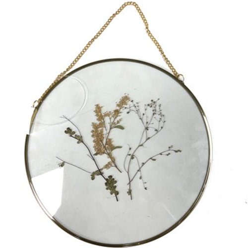 Hanging Gold Circular Framed Glass Dried Pressed Floral Wall Decor