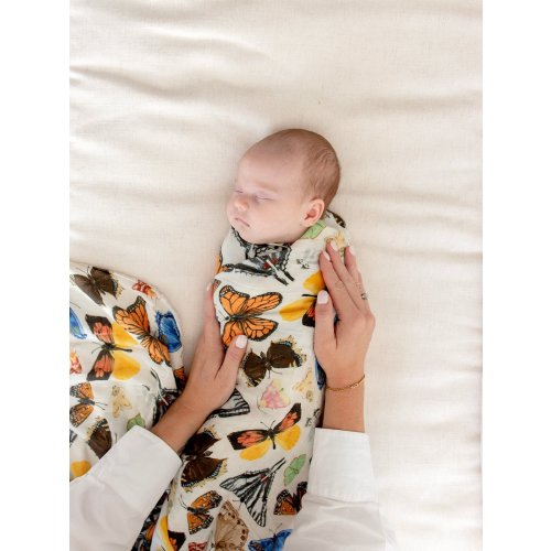 Flutter Friends Butterfly Baby Swaddle - 1canoe2