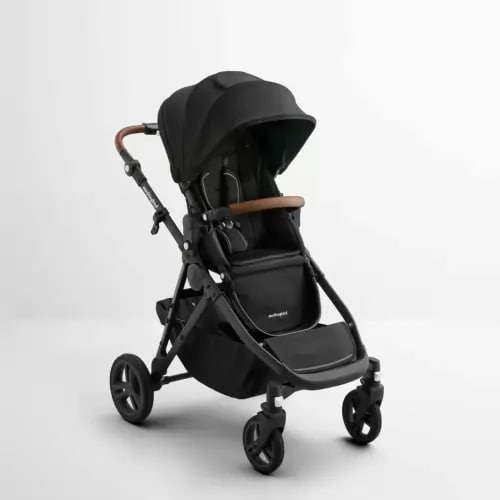 Single-to-Double Stroller 3.0