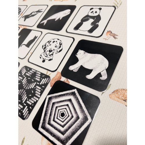14 Unique Laminated B&W Baby Sensory Cards | High Contrast Montessori Cards, Rounded Corner Flash Cards, Infant Visual Stimulation