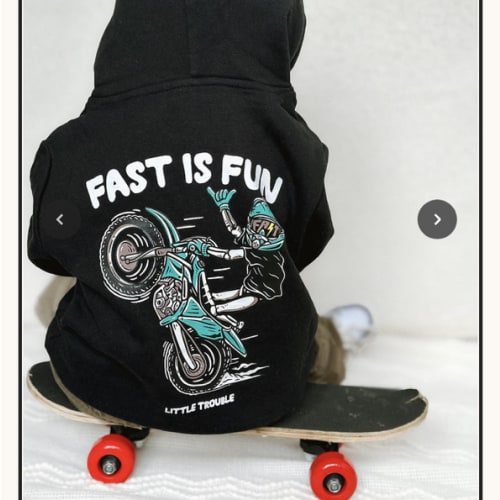 Fast is Fun Hoodie