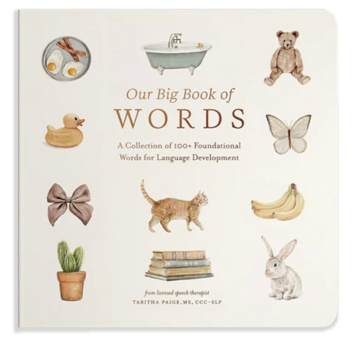 Our Big Book of First Words: A Collection of 100+ Foundational Words for Language Development (Tabitha Paige Children's Book Series)